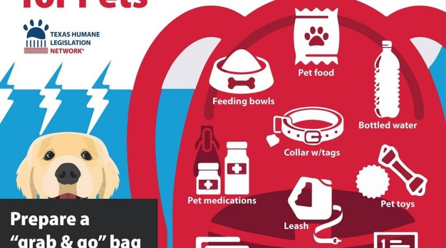 Disaster  Planning for your Pets