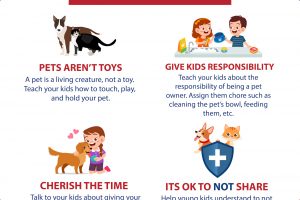 Introducing Kids & Pets