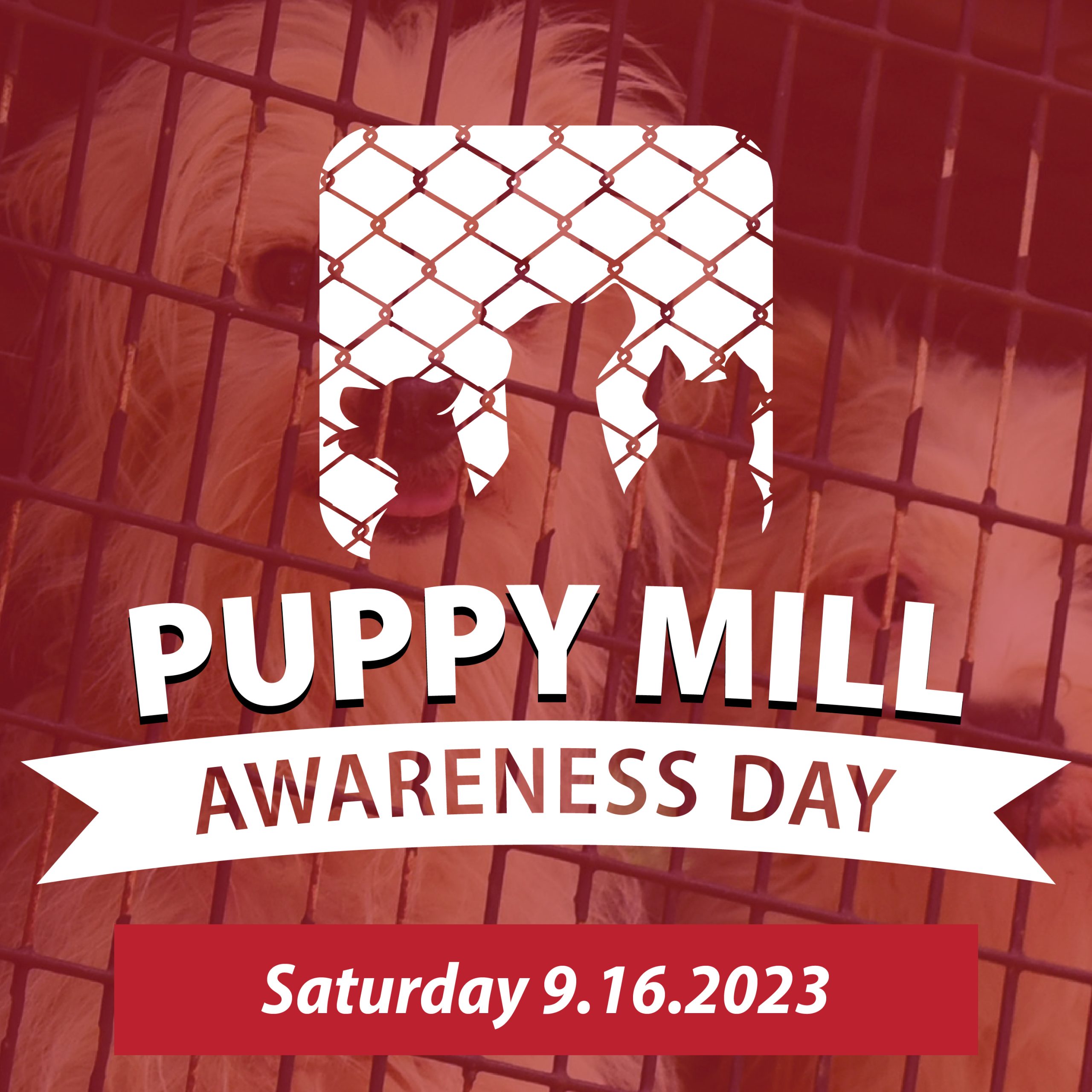 Puppy Mill Awareness Day 2023 Texas Humane Network